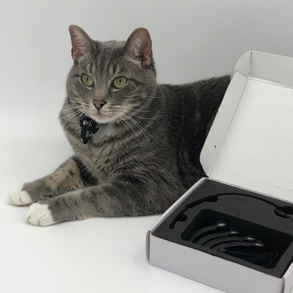 PAWTRACK GPS CAT TRACKING ADJUSTABLE USB COLLAR, New in box - Picture 16 of 16